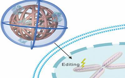 CRISPR-Cas9 gene editing tool20170217145841_l